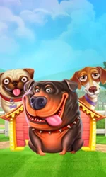 The Dog House